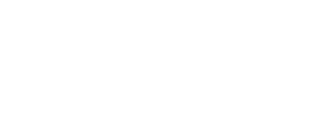 Logo 100 años
